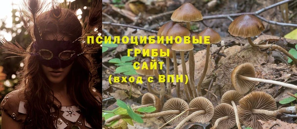 spice Володарск
