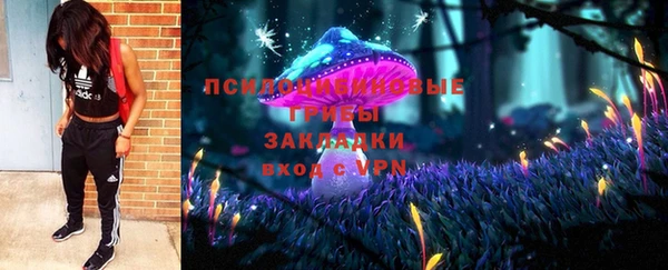 spice Володарск